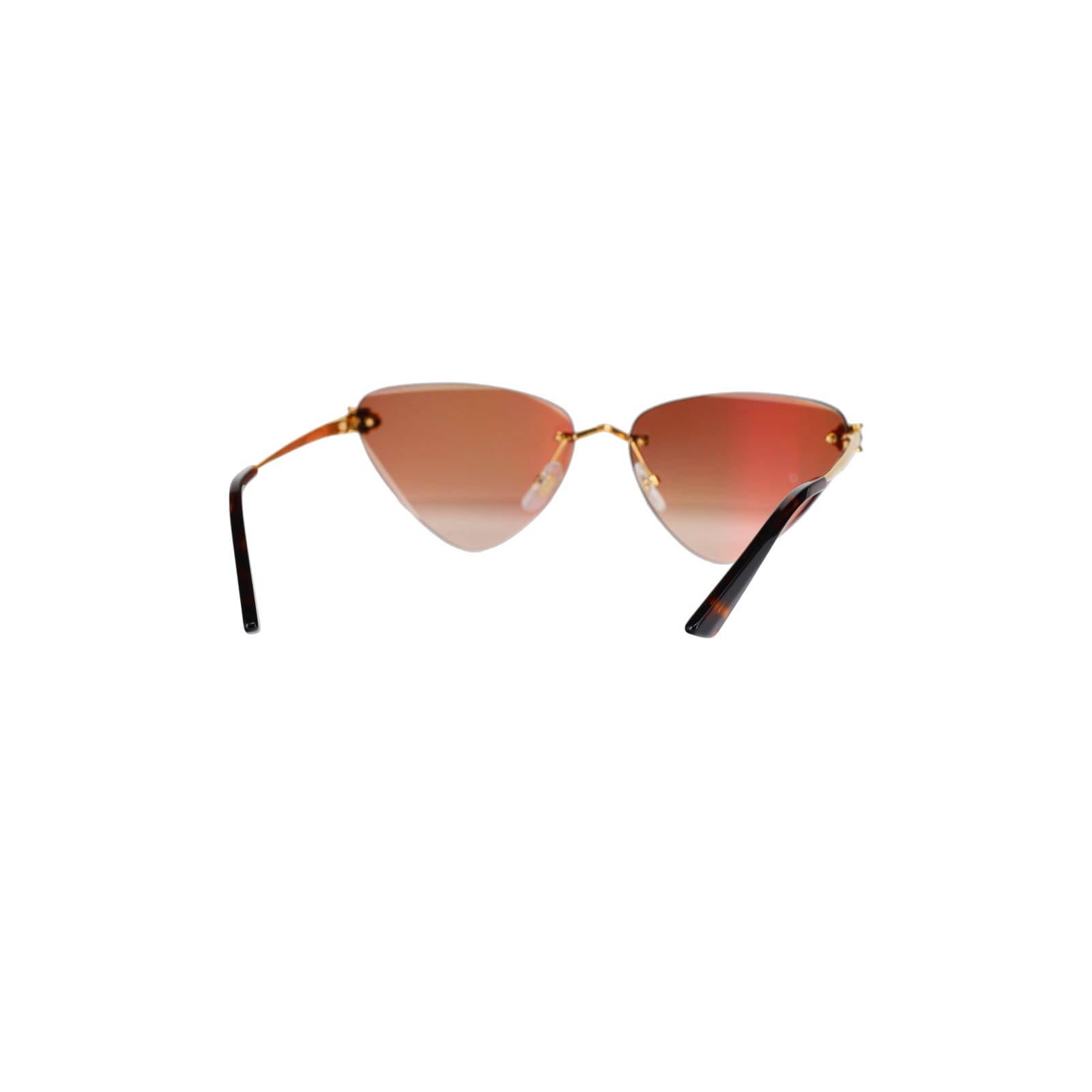 CT0399S Geometric Panthère Sunglasses