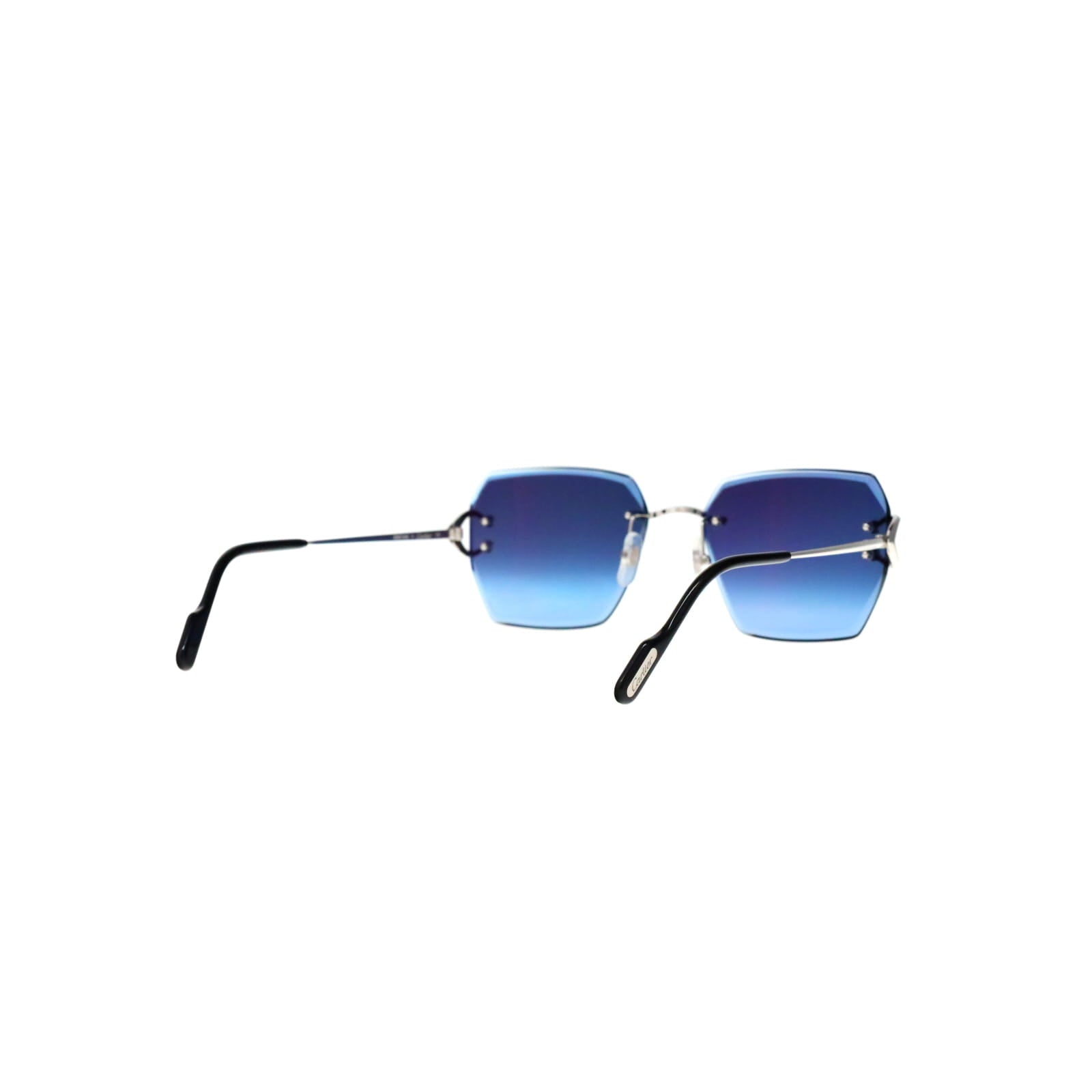 CT0466S  Signature C Sunglasses