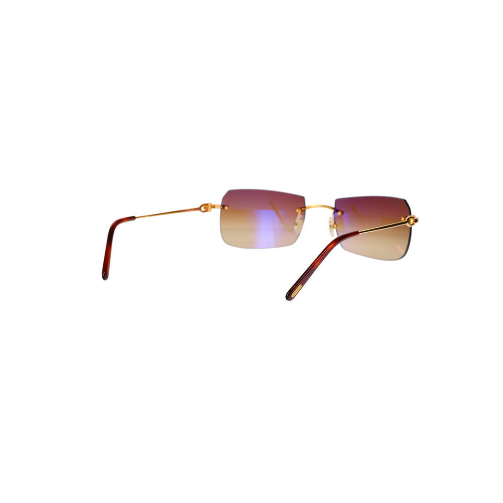 CT0006RS  C Décor Sunglasses