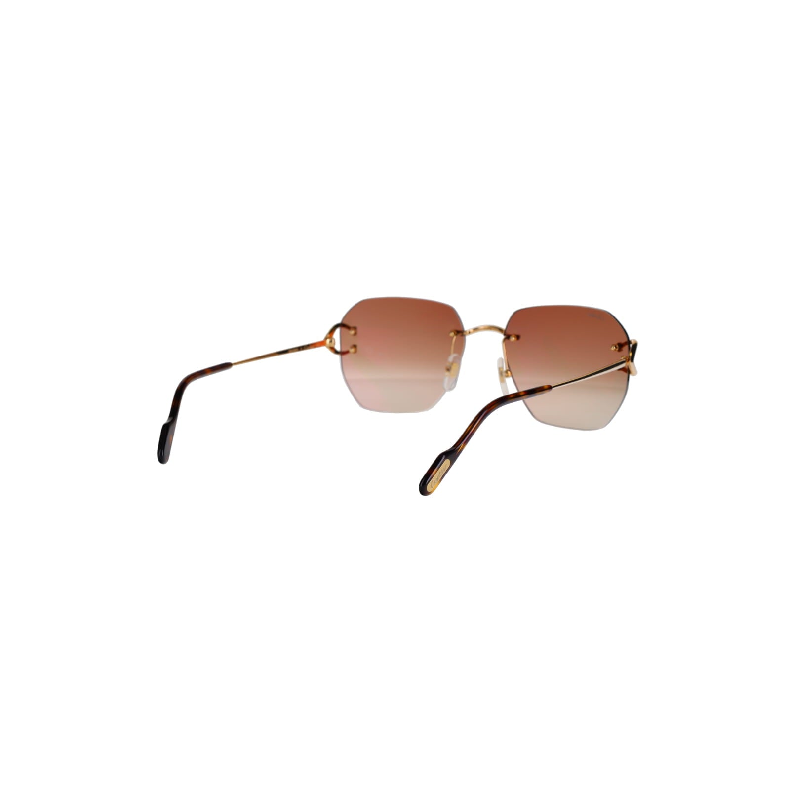 CT0394S Signature C Sunglasses
