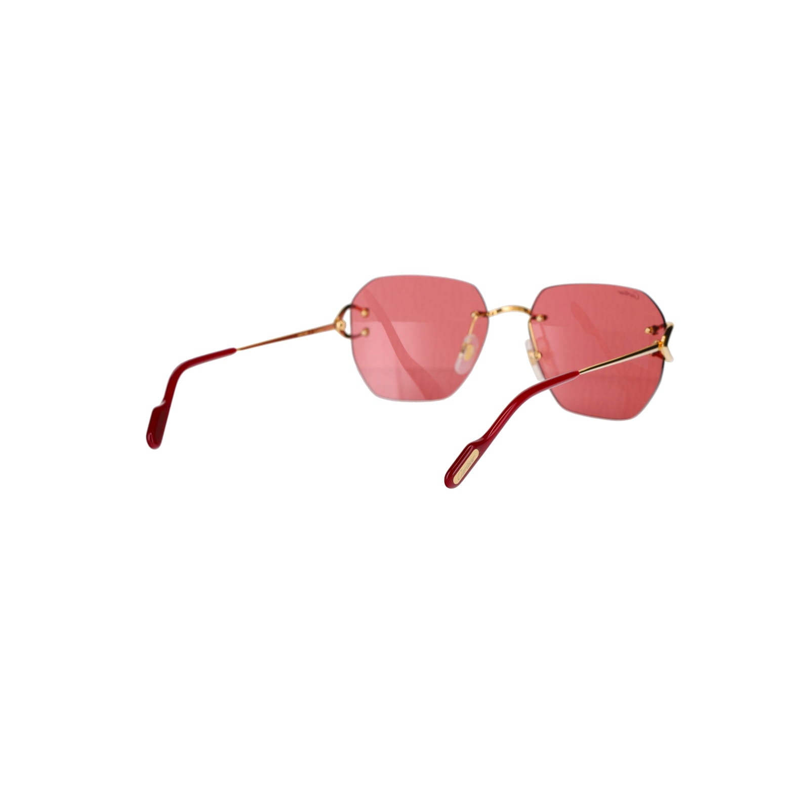 CT0394S Signature C Sunglasses