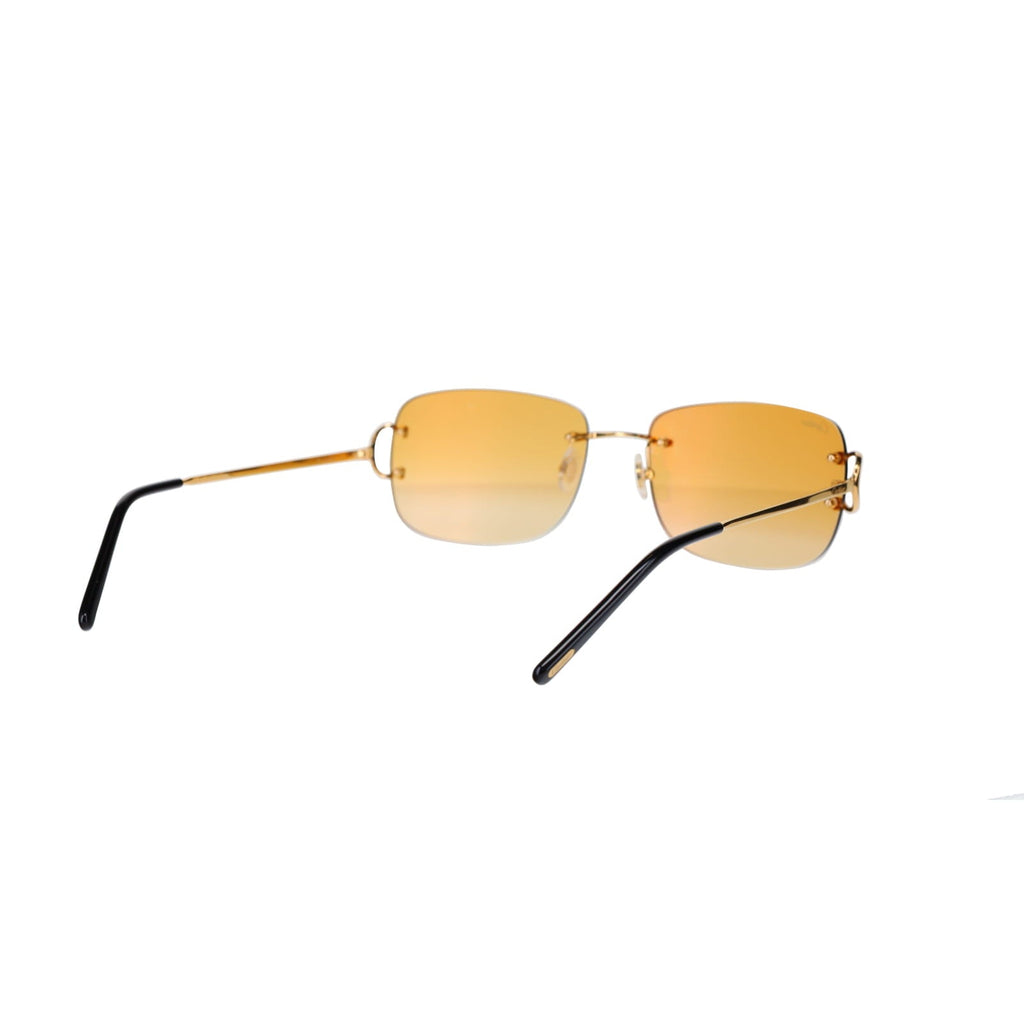 CT0011RS Signature C Sunglasses