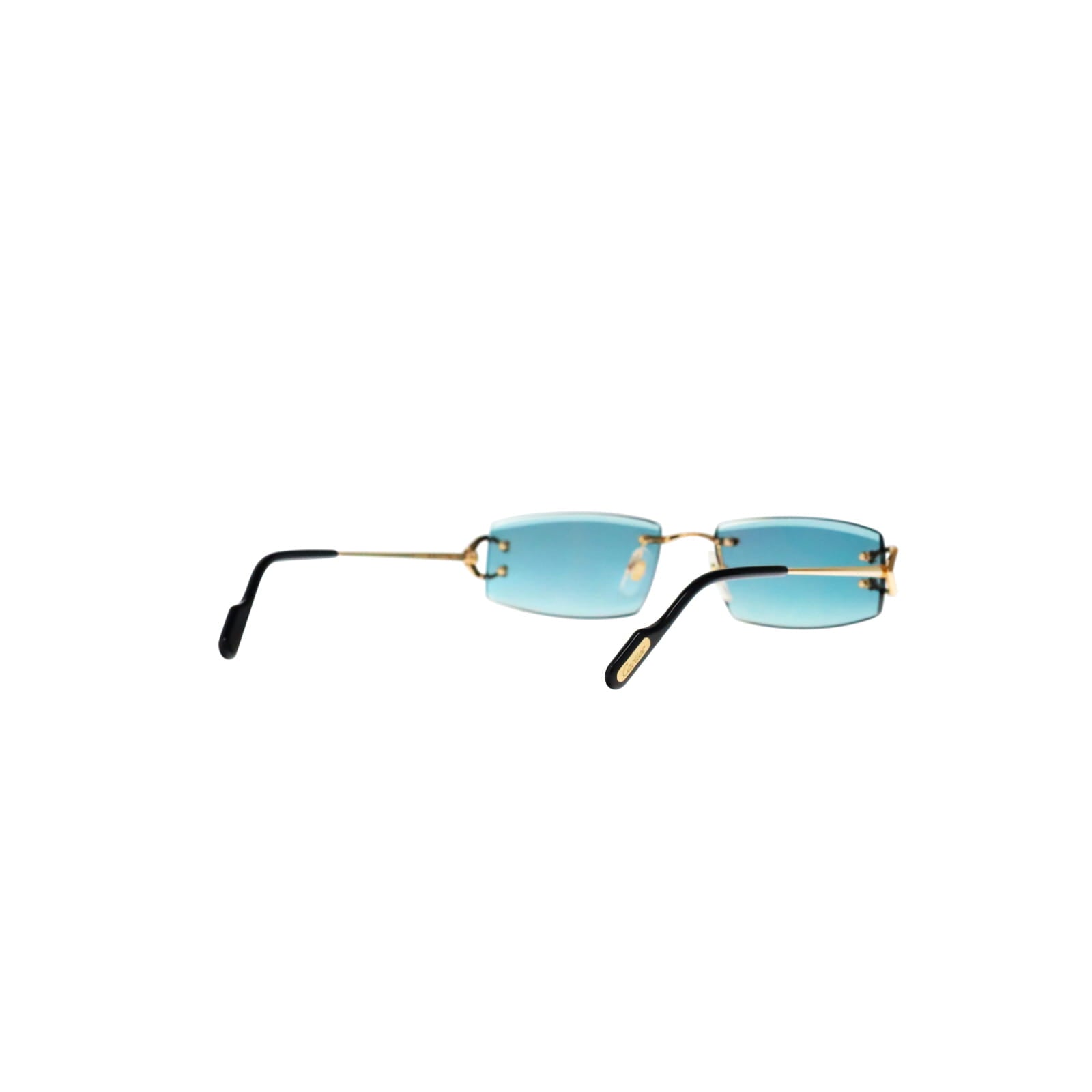 CT0465S Signature C  Rectangular Sunglasses