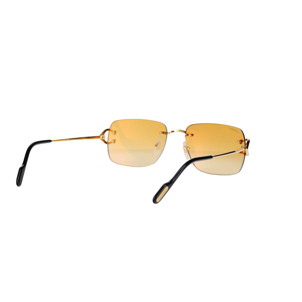 CT0330S Signature C  Sunglasses