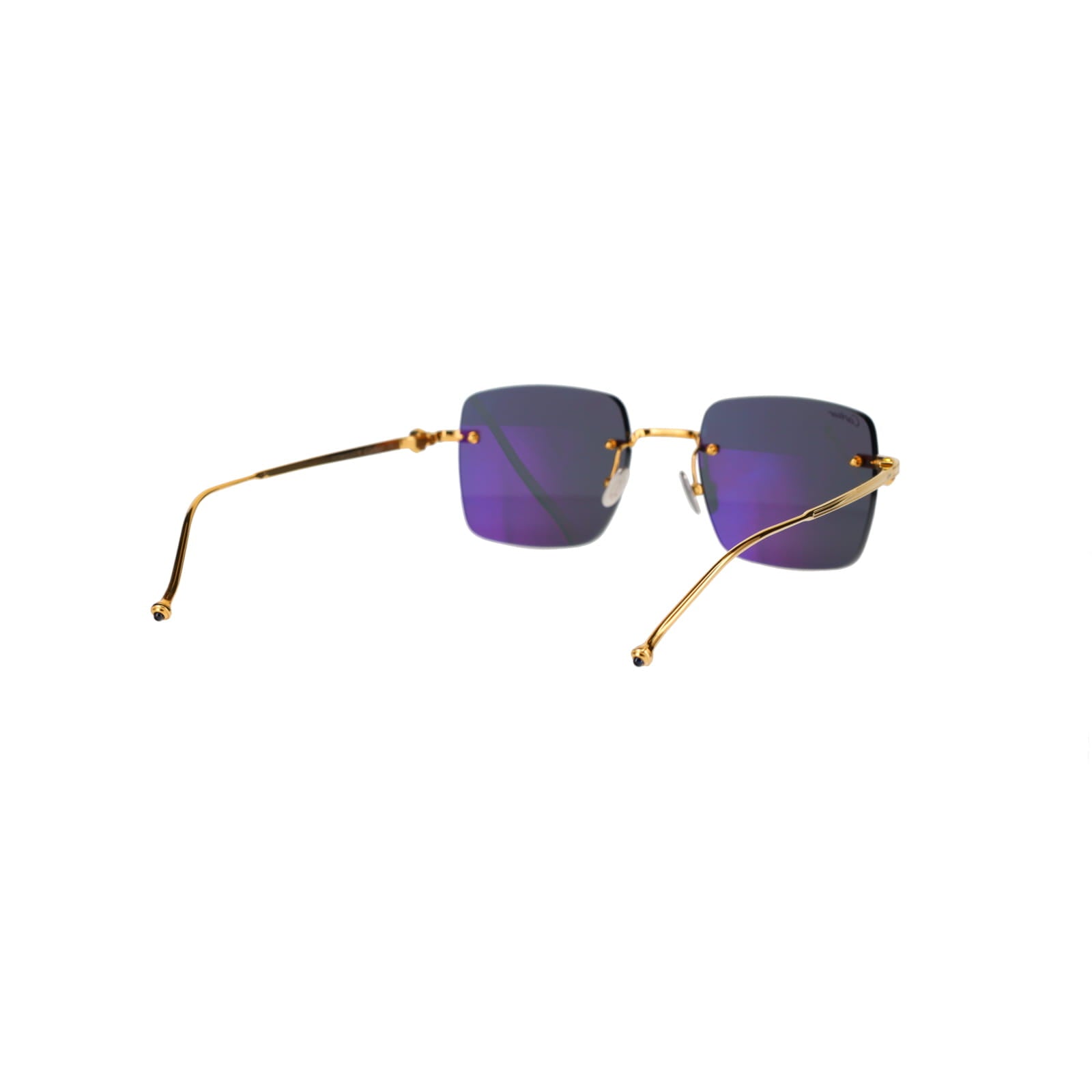CT0403S Pasha Sunglasses