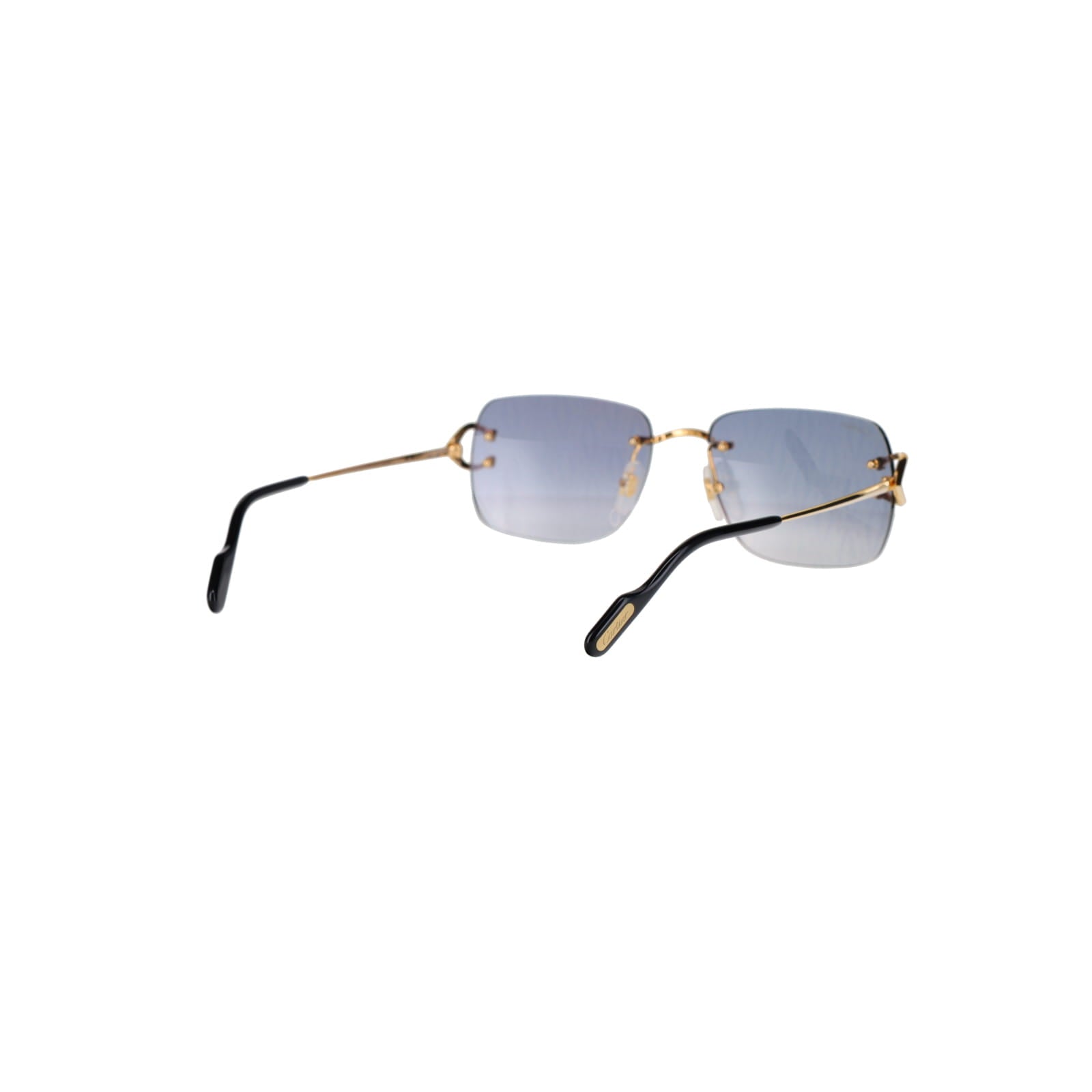 CT0330S Signature C  Sunglasses