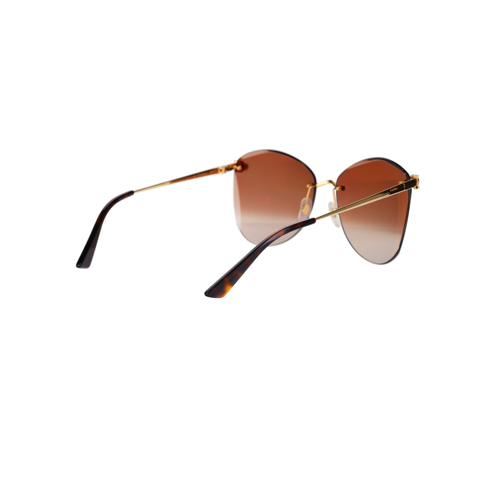 CT0398S Cat-eye Panthère Sunglasses