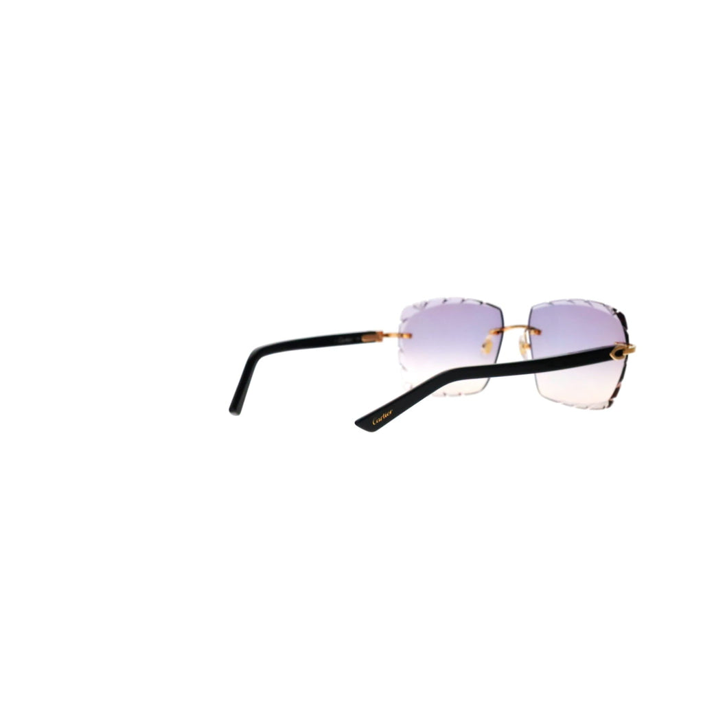 Cartier Custom C Décor Acetate Sunglasses