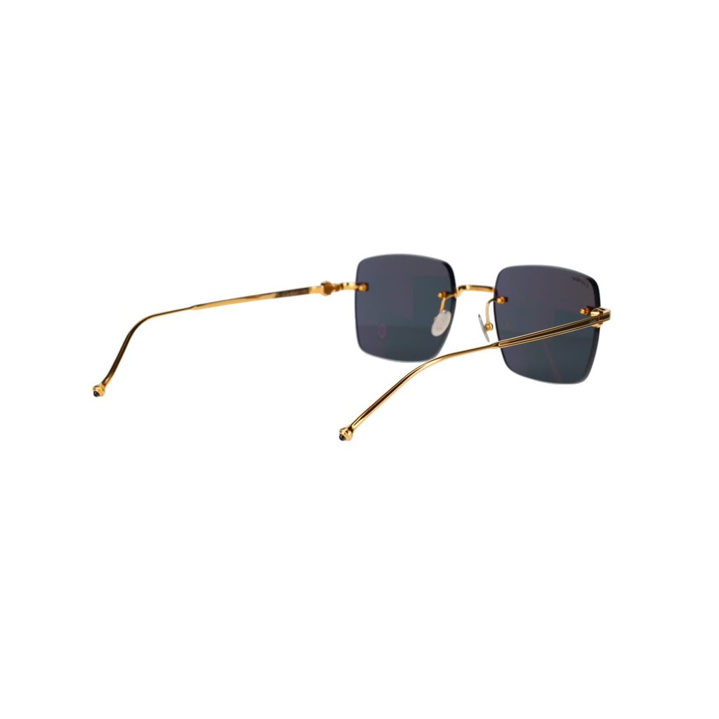 CT0403S Pasha Sunglasses