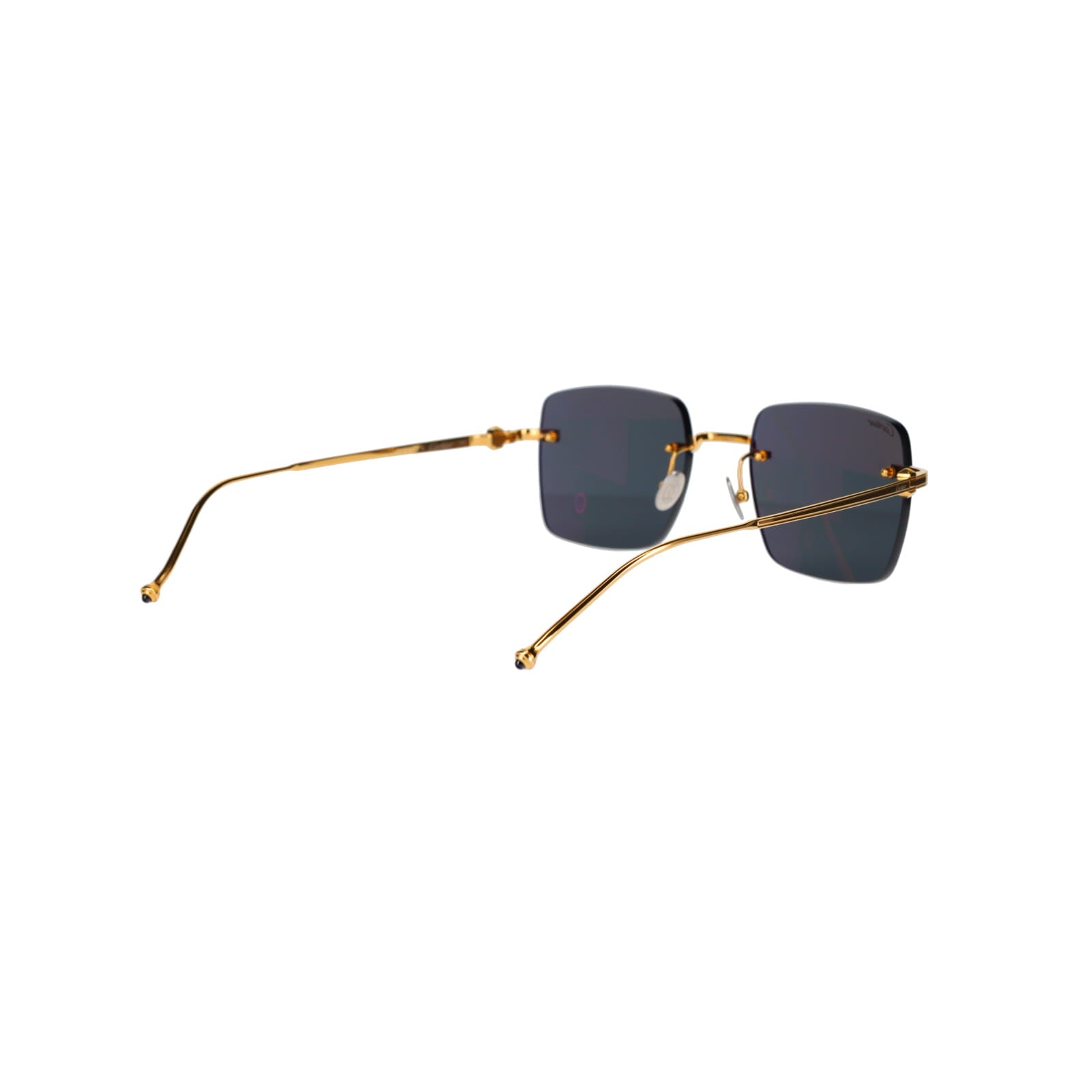 CT0403S Pasha Sunglasses