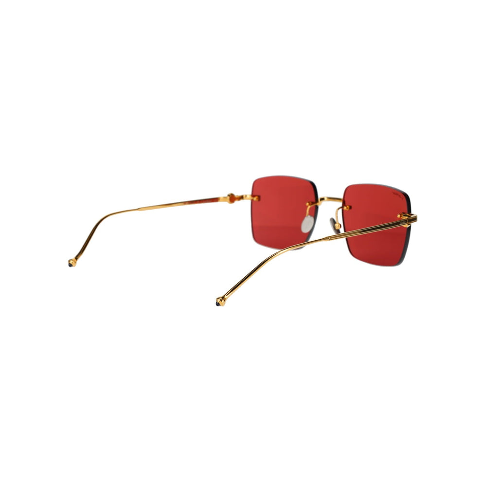CT0403S Pasha Sunglasses
