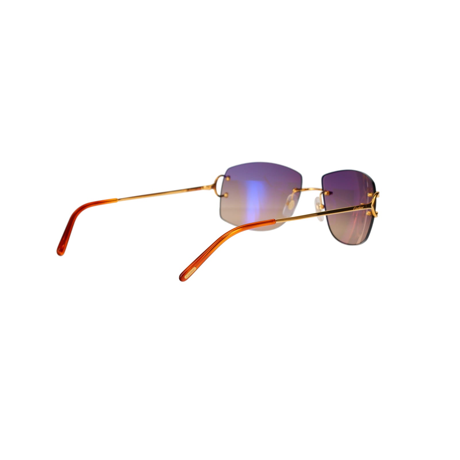 CT0008RS Signature C Sunglasses