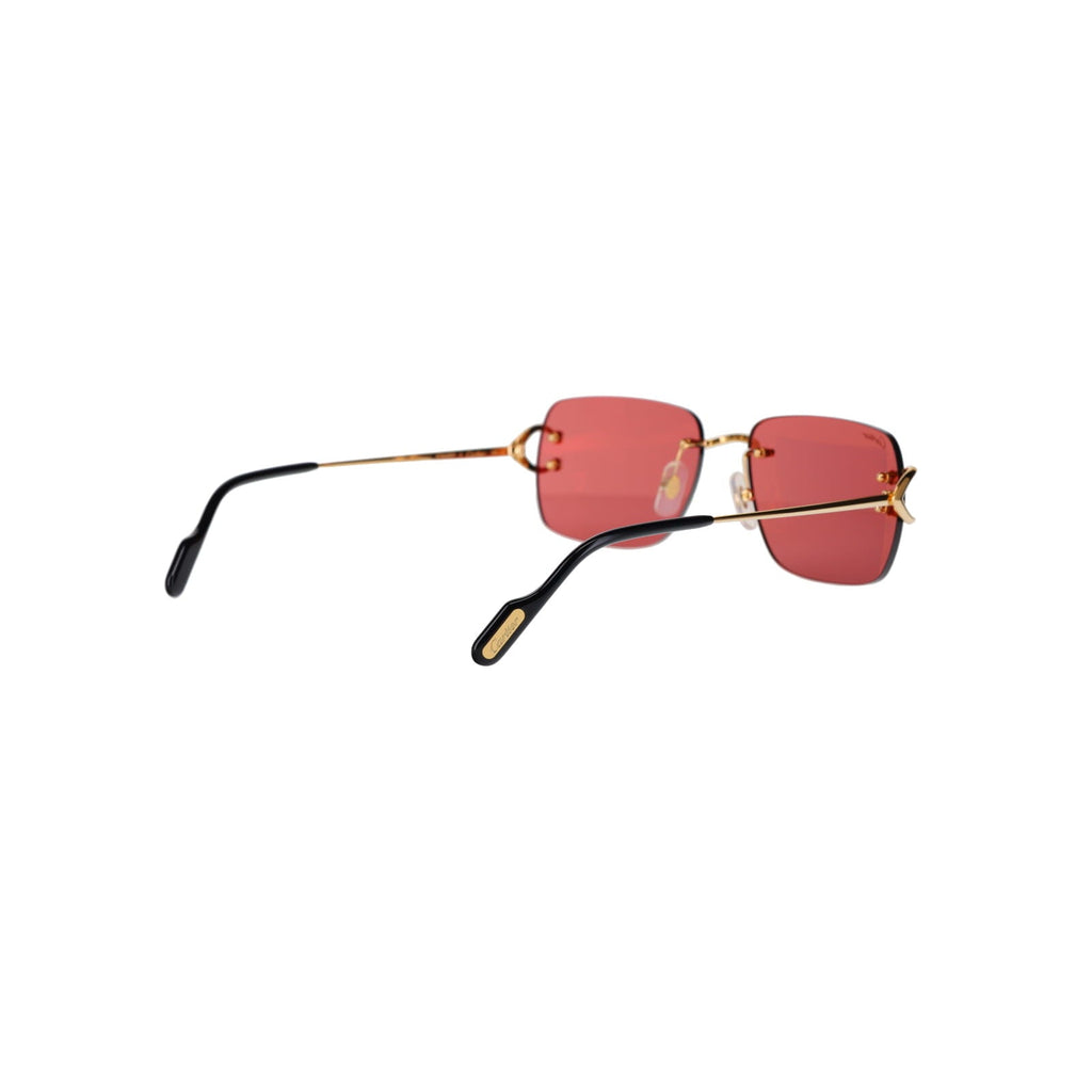 CT0330S Signature C  Sunglasses