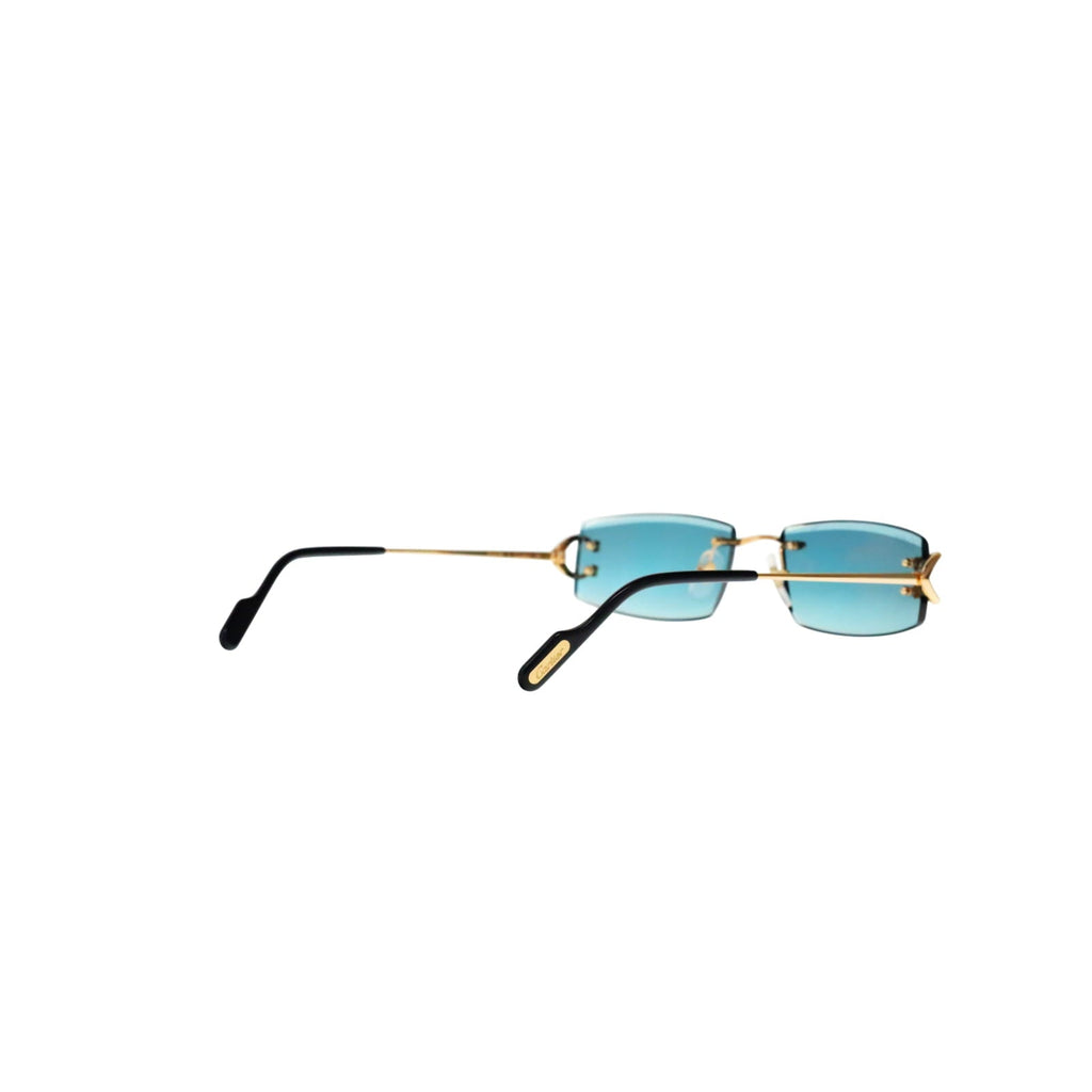 CT0465S Signature C  Rectangular Sunglasses