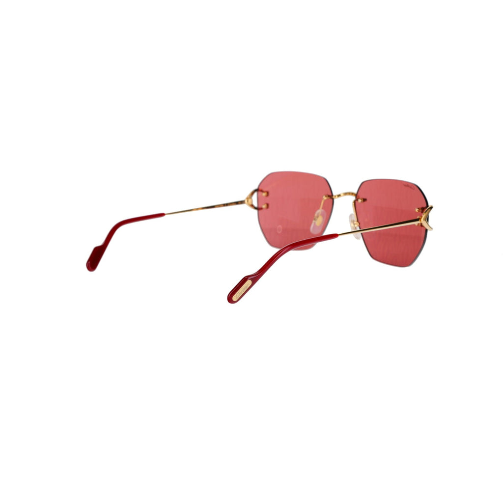 CT0394S Signature C Sunglasses