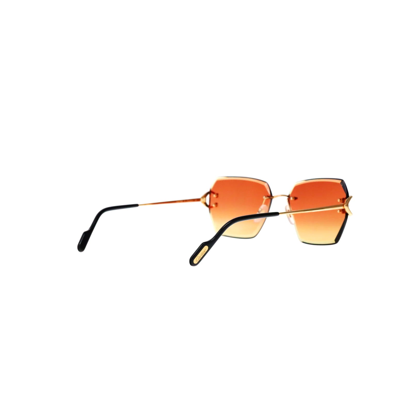 CT0466S  Signature C Sunglasses