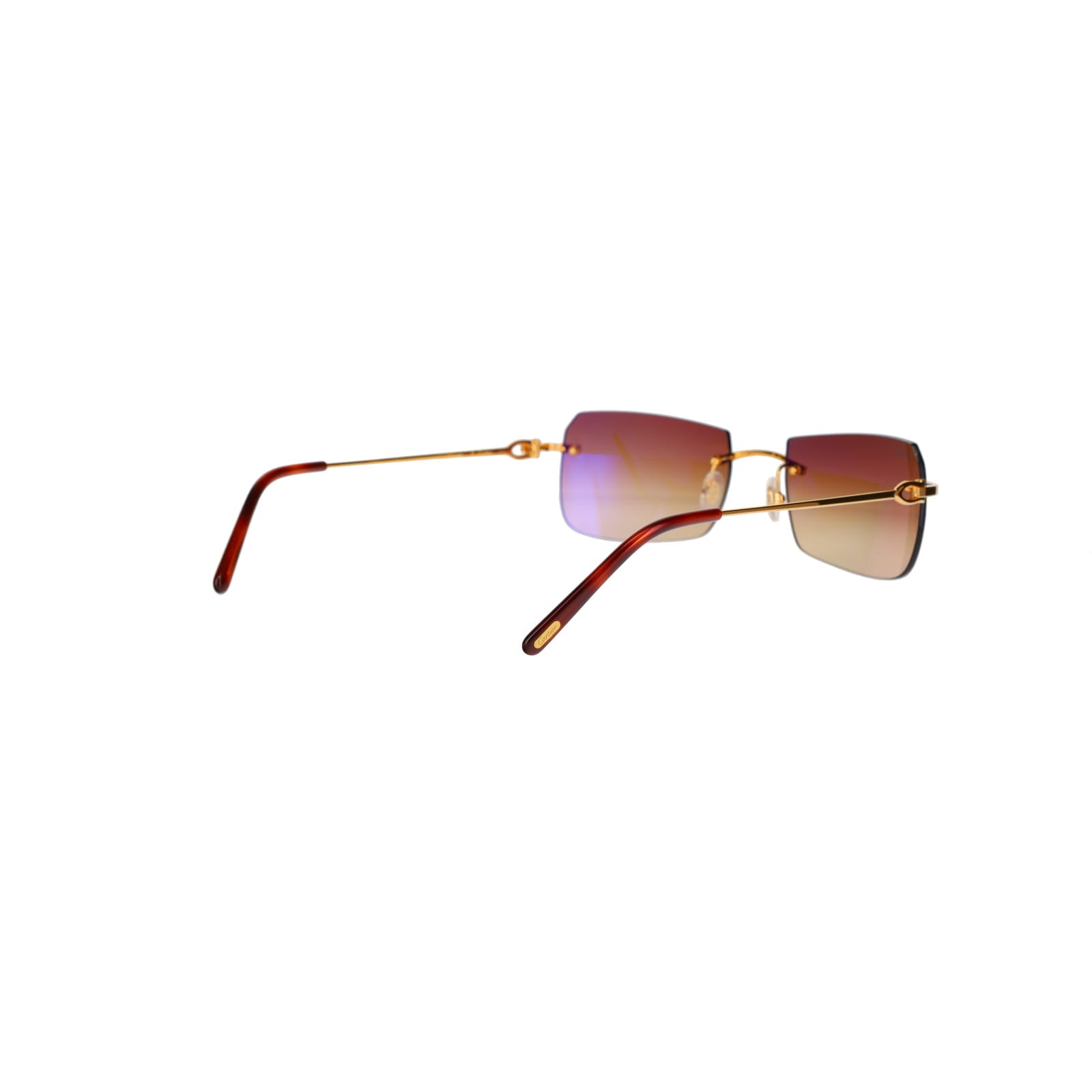 CT0006RS  C Décor Sunglasses