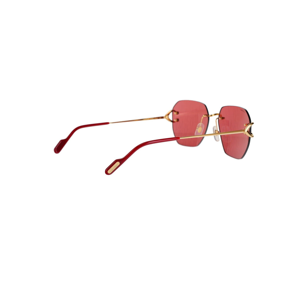 CT0394S Signature C Sunglasses