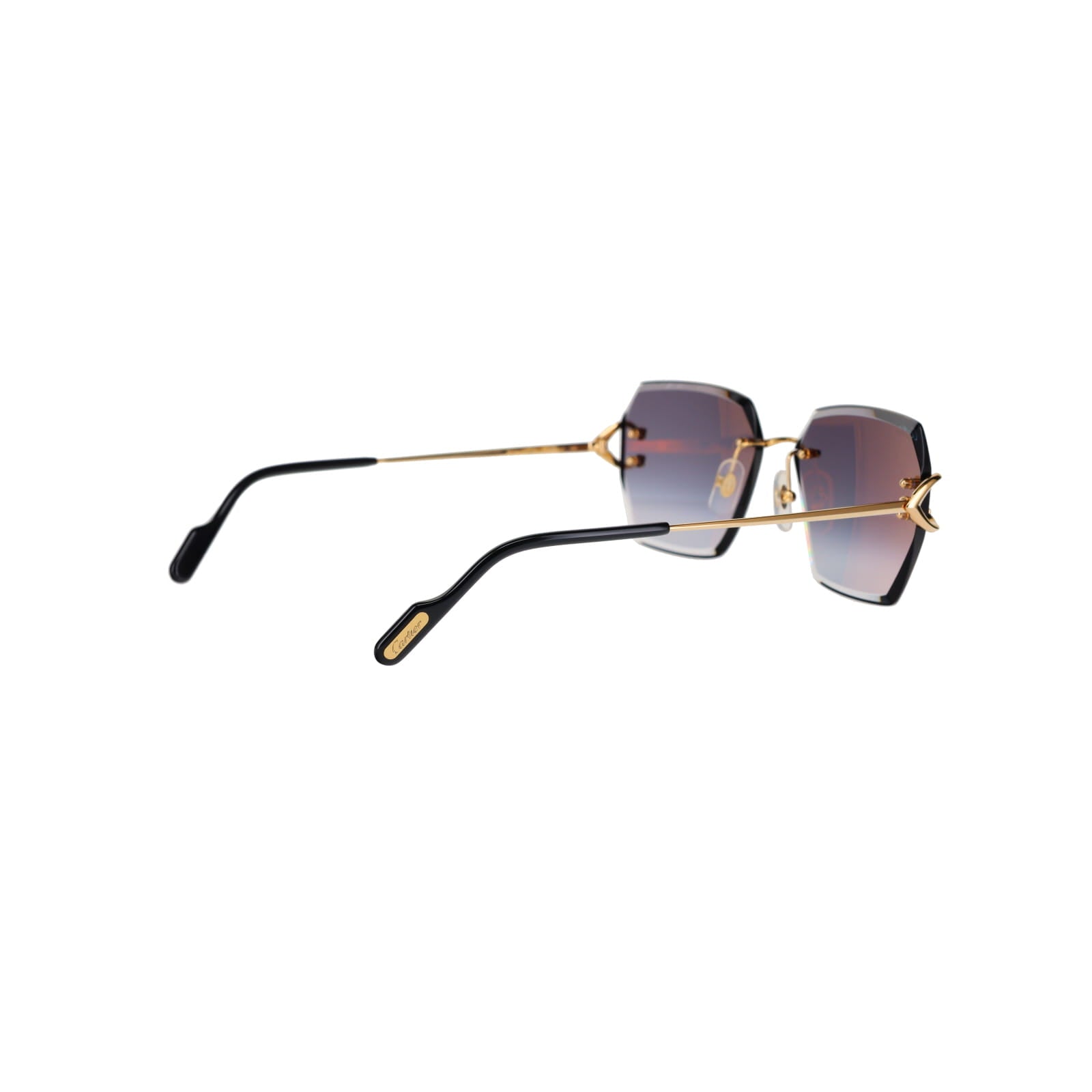CT0466S  Signature C Sunglasses
