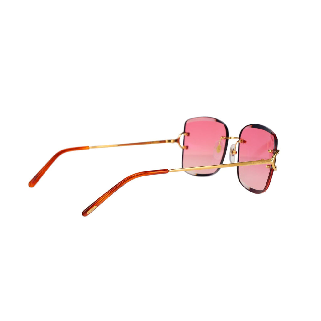 CT0007RS Signature C Sunglasses
