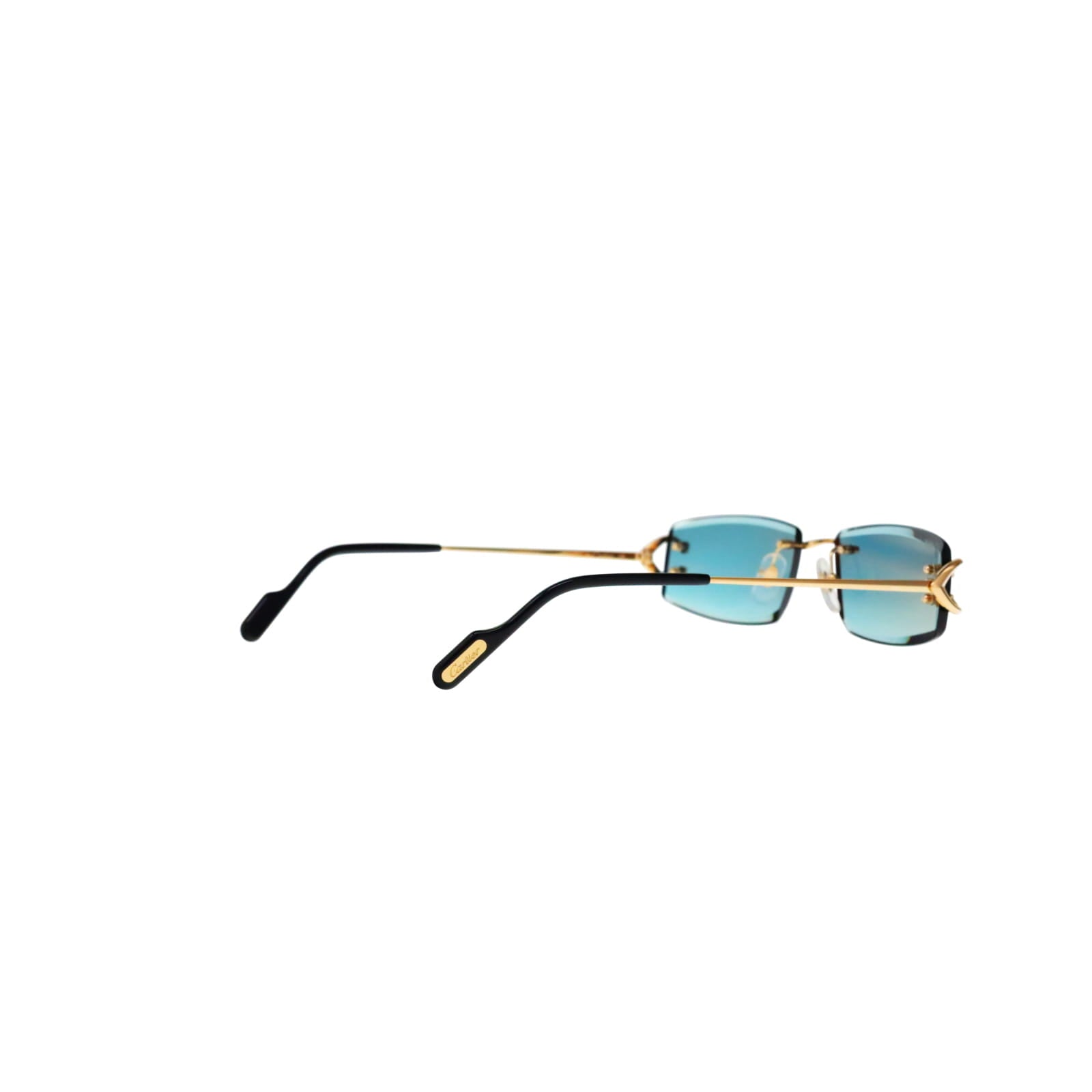 CT0465S Signature C  Rectangular Sunglasses