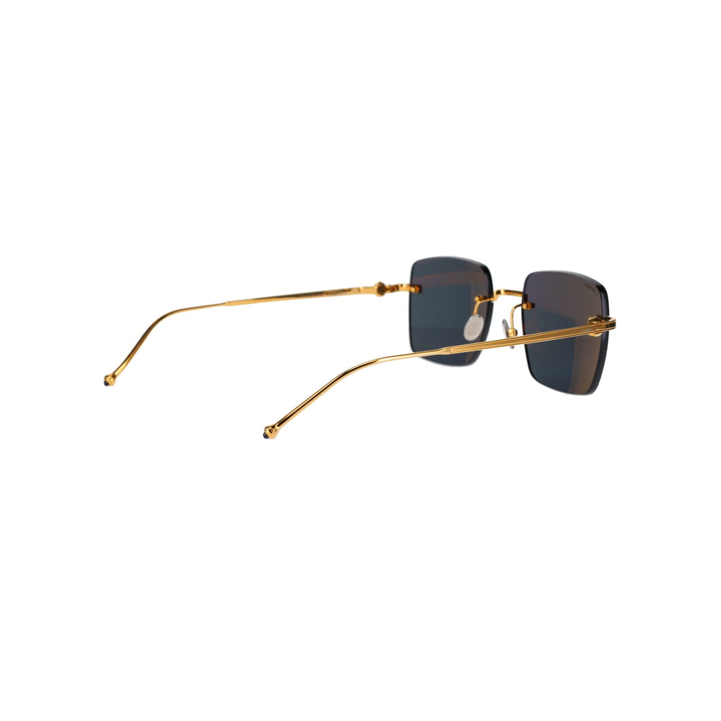 CT0403S Pasha Sunglasses