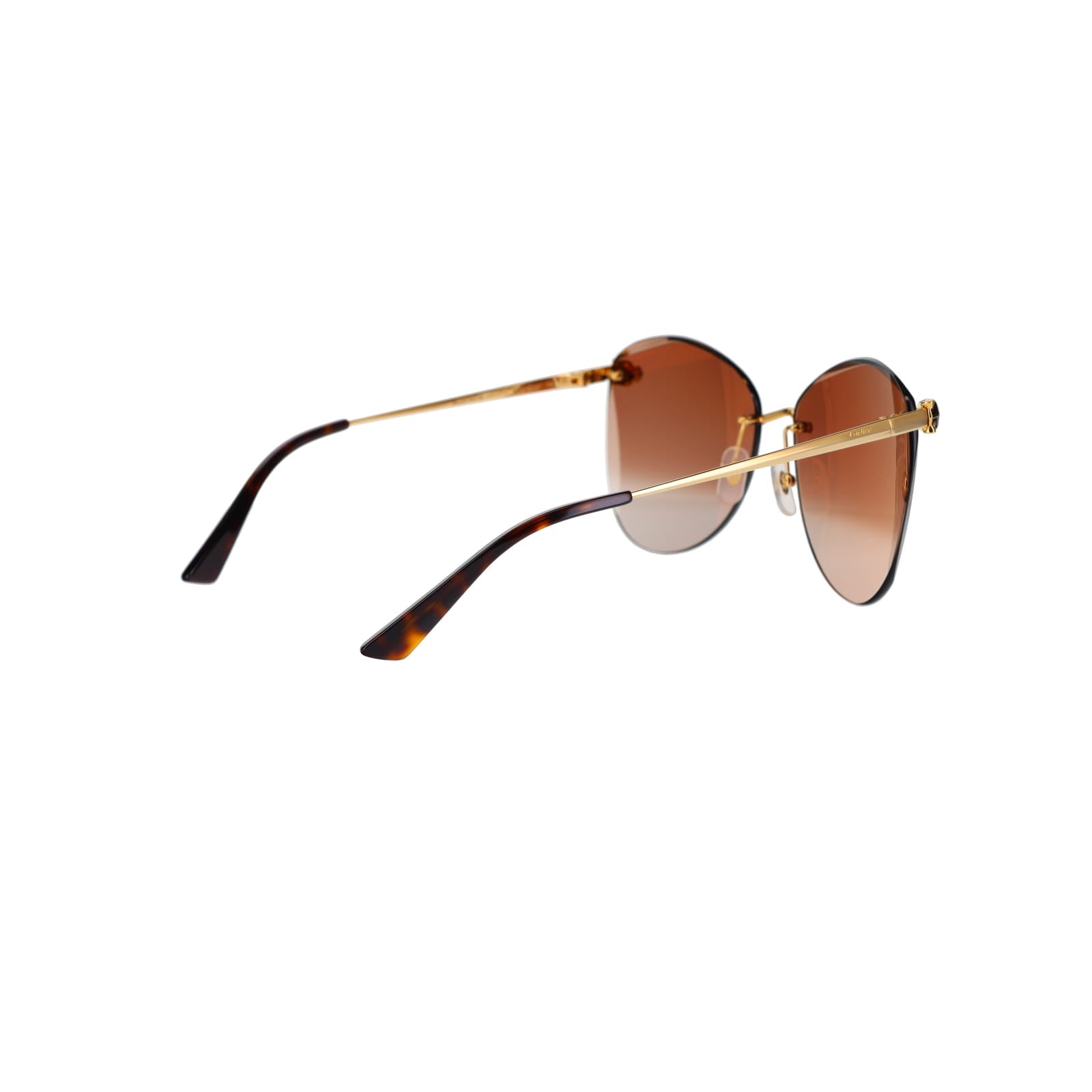 CT0398S Cat-eye Panthère Sunglasses