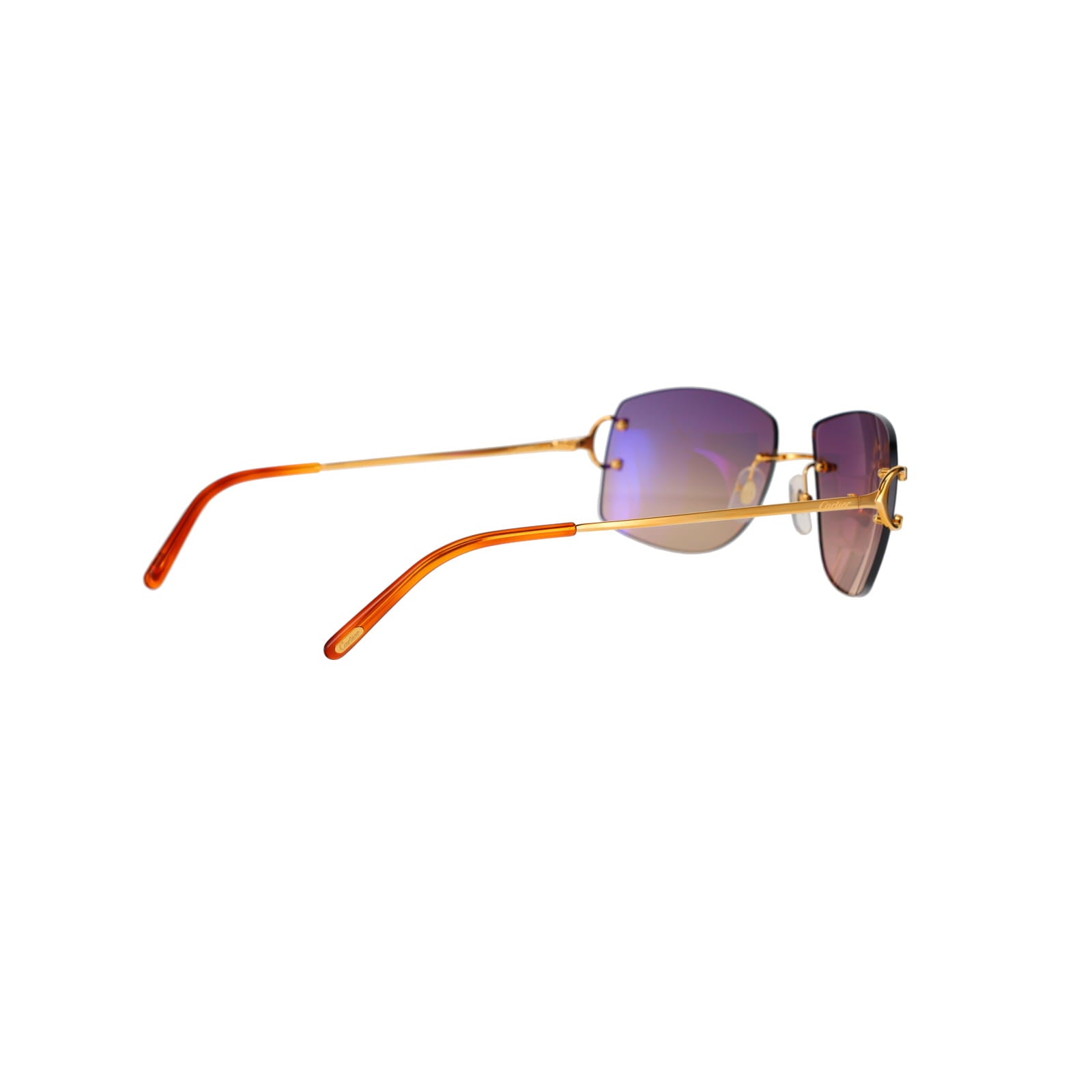 CT0008RS Signature C Sunglasses