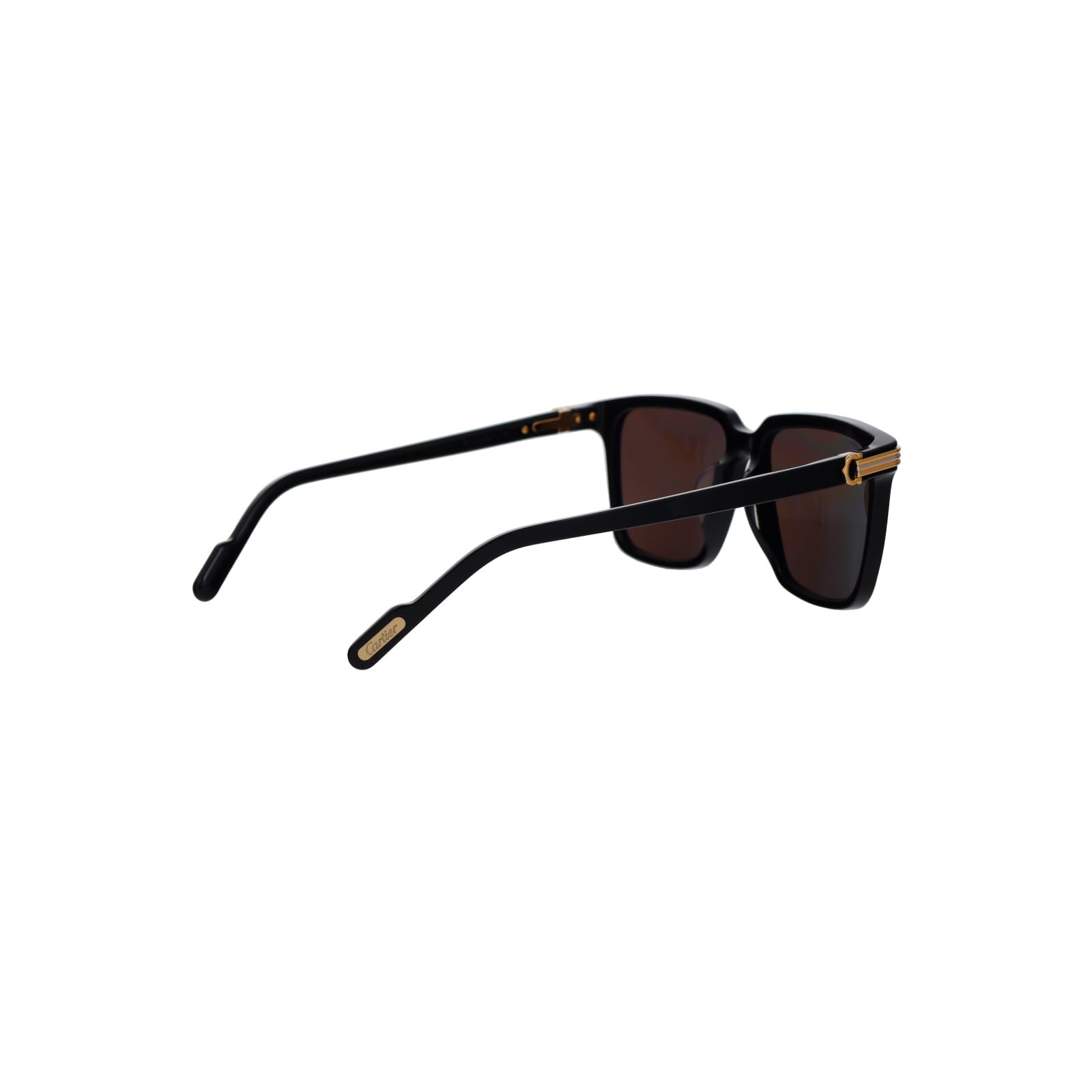 CT0366S Contemporary Acetate Sunglasses