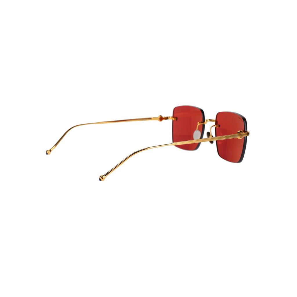 CT0403S Pasha Sunglasses