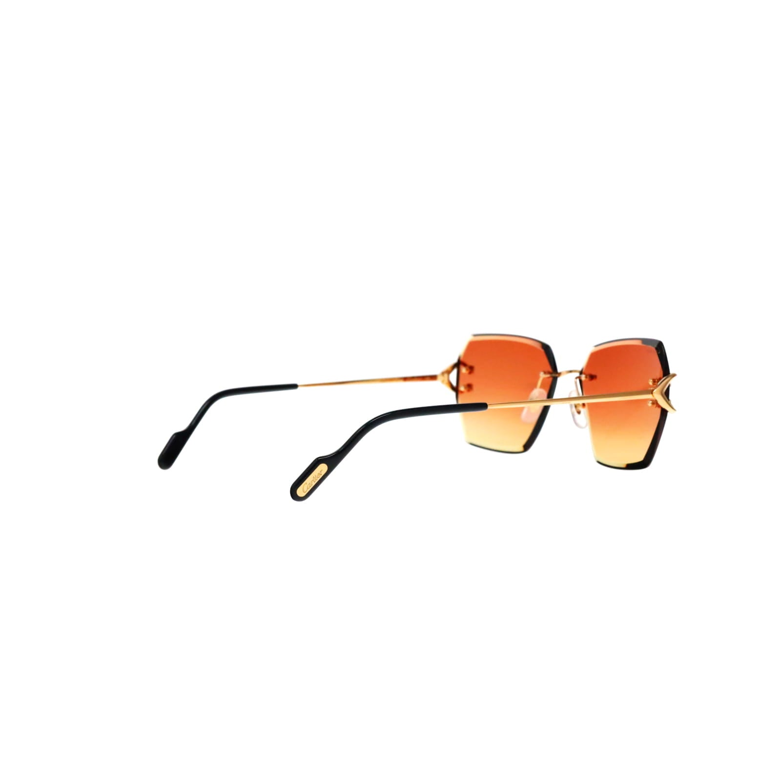 CT0466S  Signature C Sunglasses