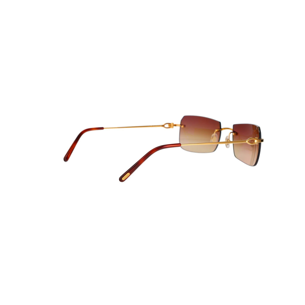 CT0006RS  C Décor Sunglasses