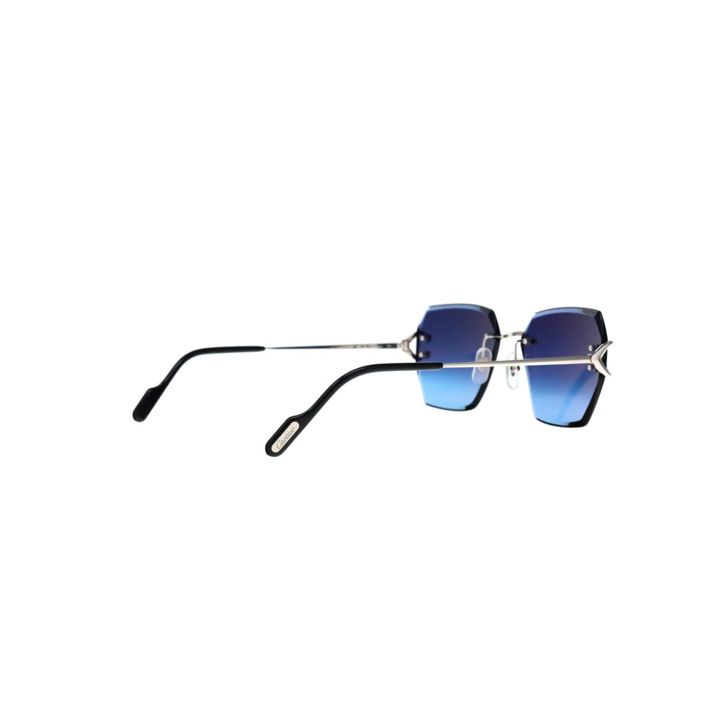 CT0466S  Signature C Sunglasses