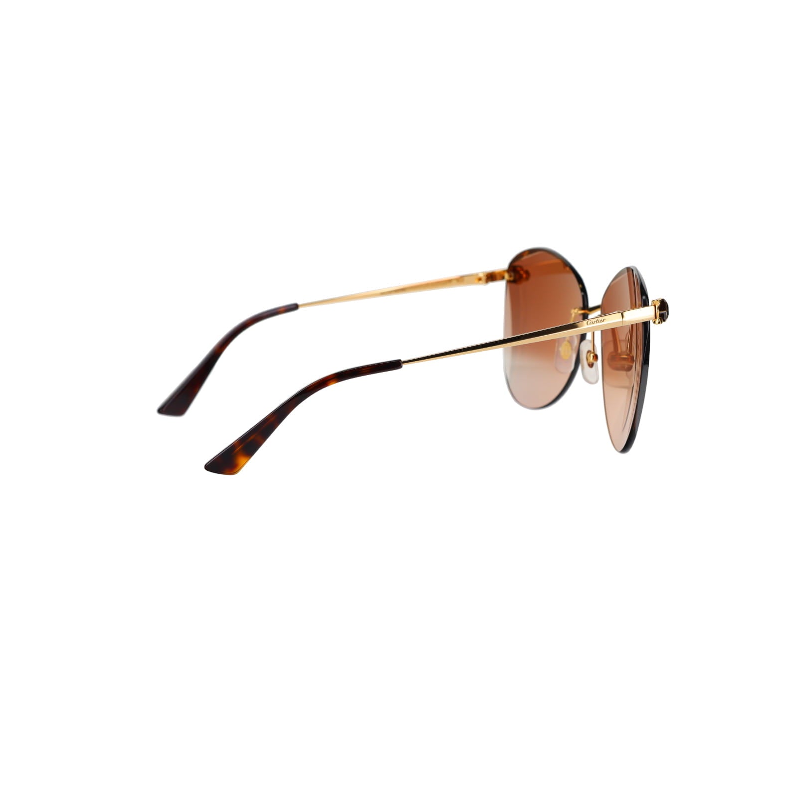 CT0398S Cat-eye Panthère Sunglasses