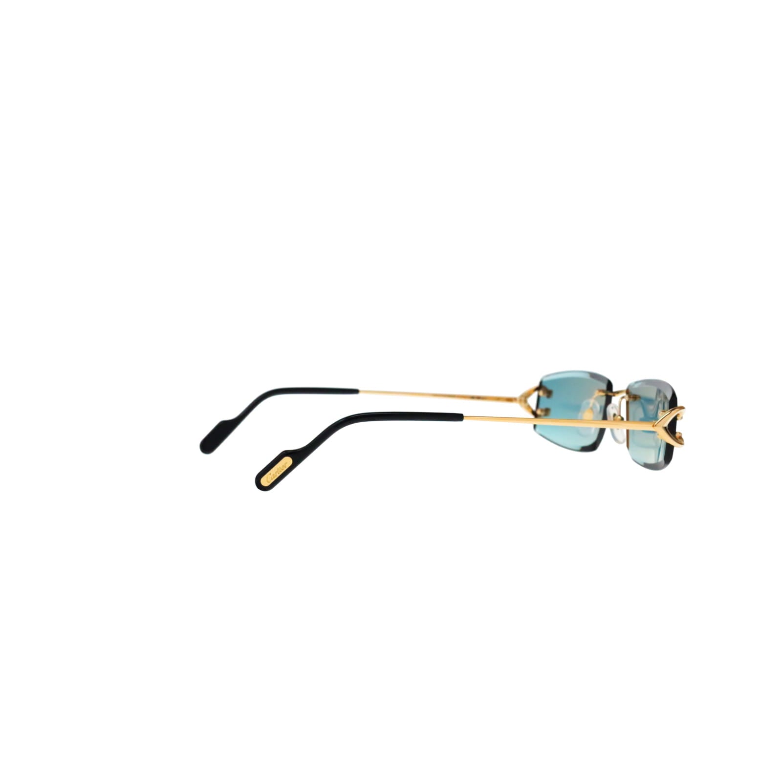 CT0465S Signature C  Rectangular Sunglasses