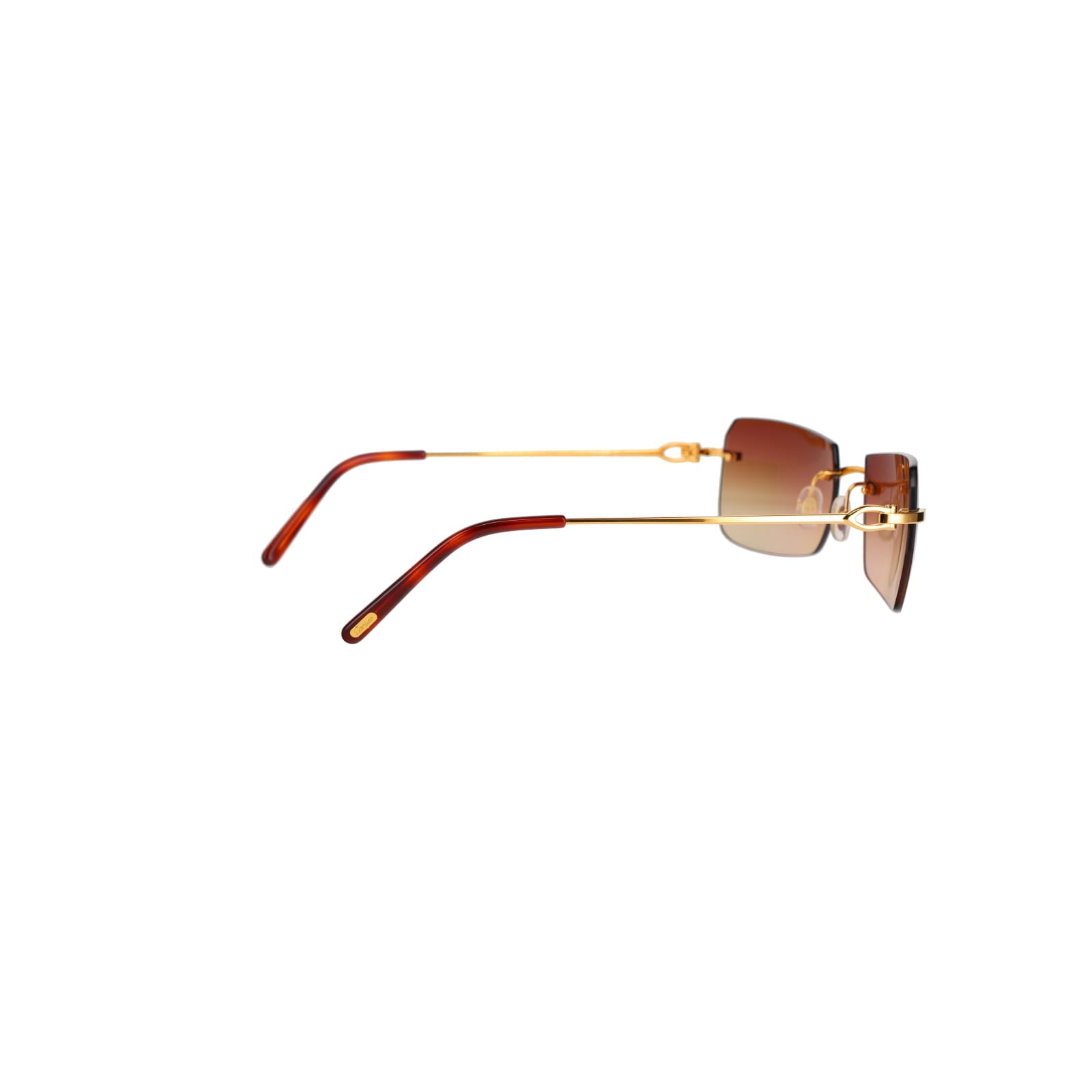 CT0006RS  C Décor Sunglasses