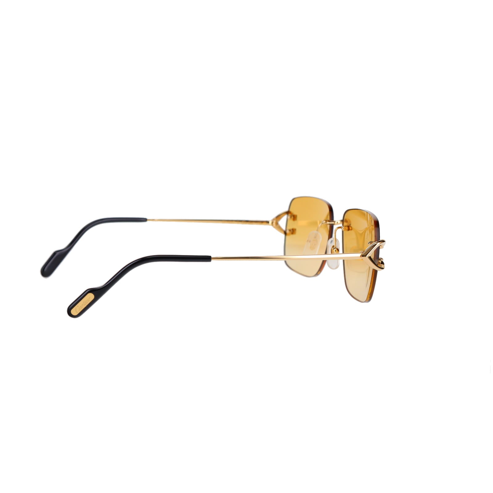 CT0330S Signature C  Sunglasses