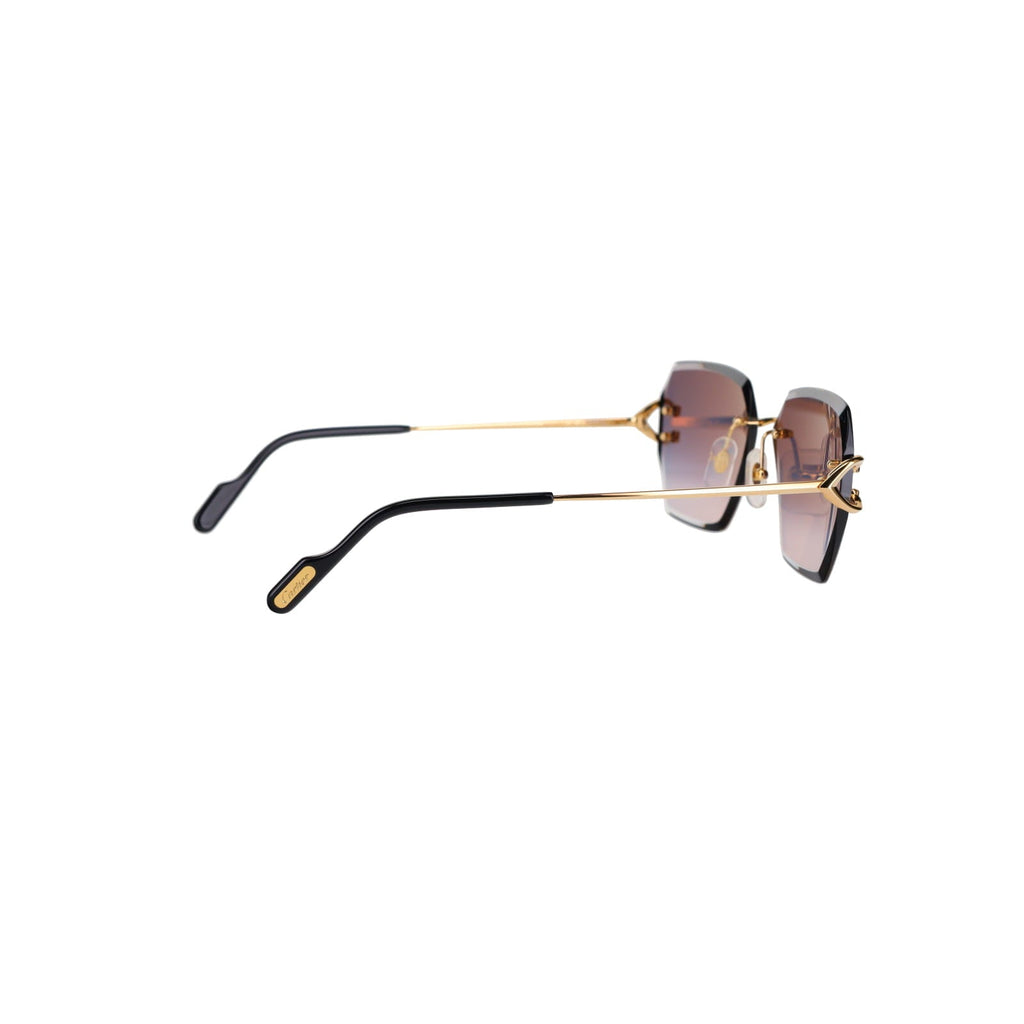 CT0466S  Signature C Sunglasses