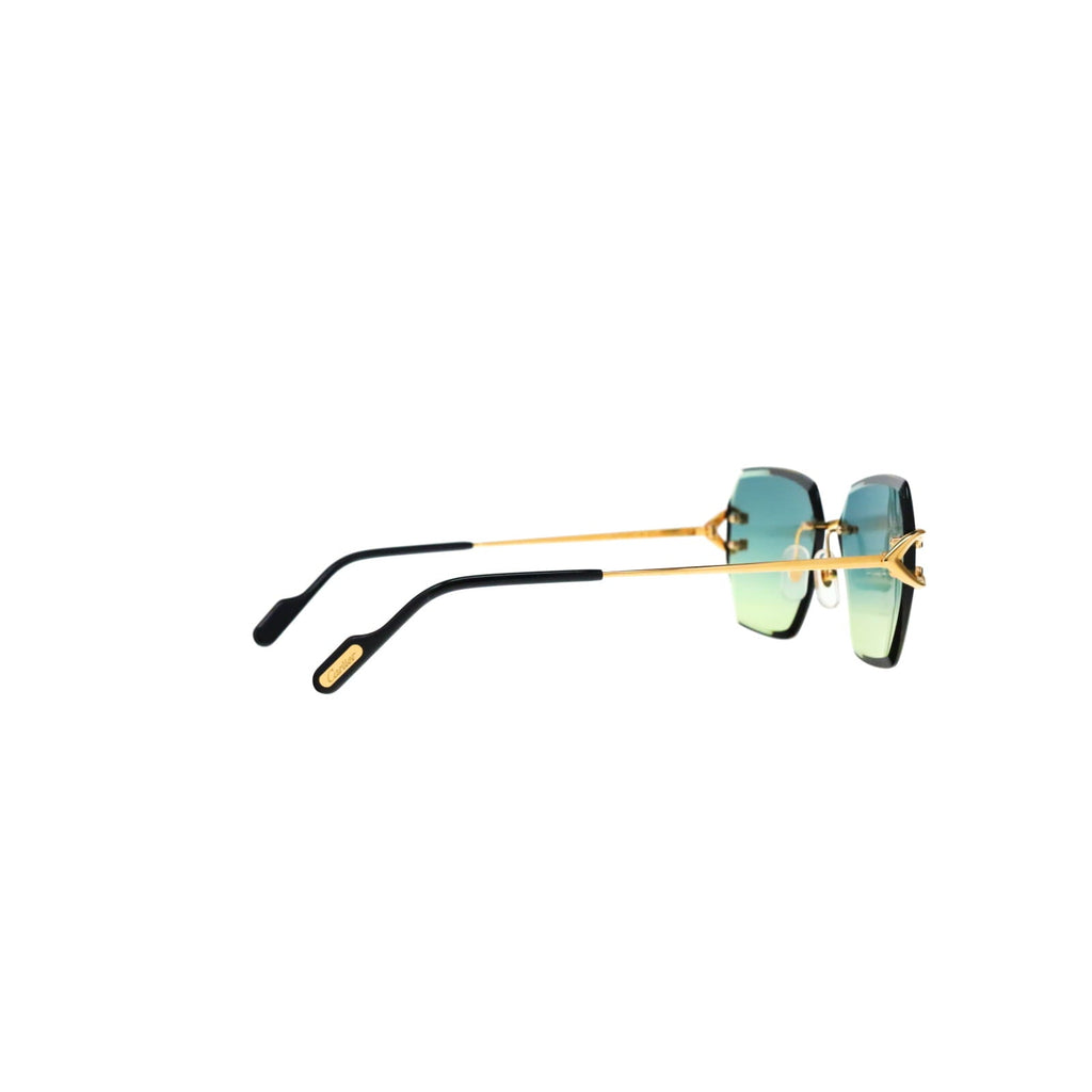 CT0466S  Signature C Sunglasses
