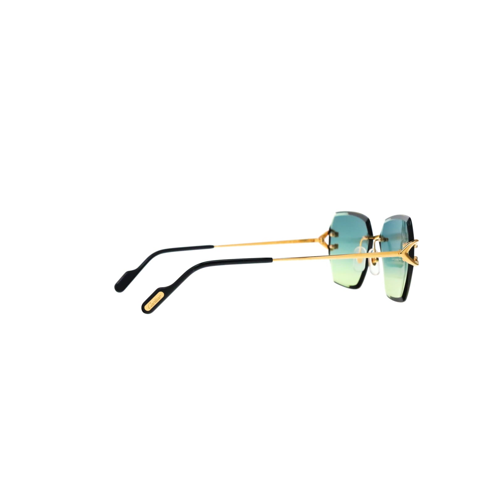 CT0466S  Signature C Sunglasses