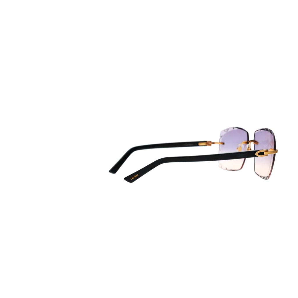 Cartier Custom C Décor Acetate Sunglasses