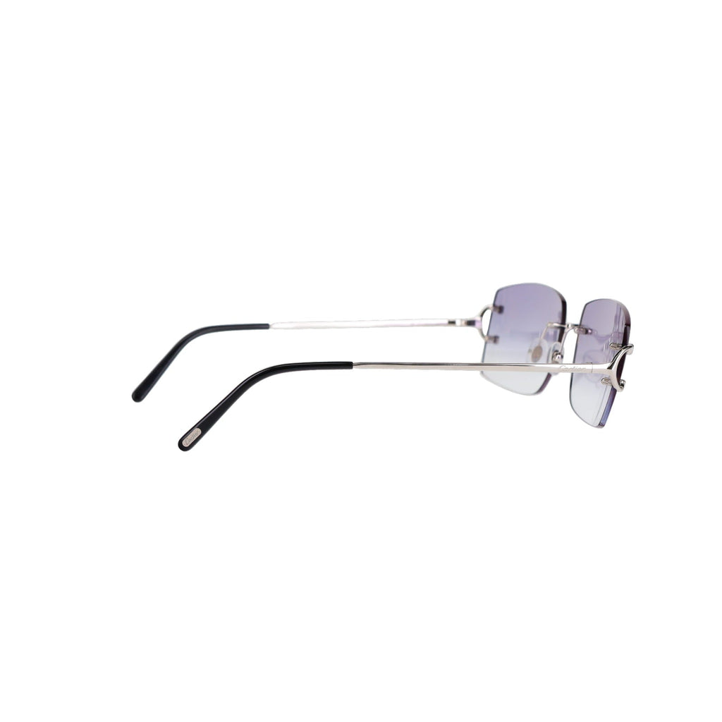 Cartier Custom Double C Brooklyn Platinum Sunglasses by MEG