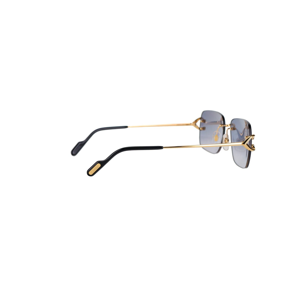 CT0330S Signature C  Sunglasses