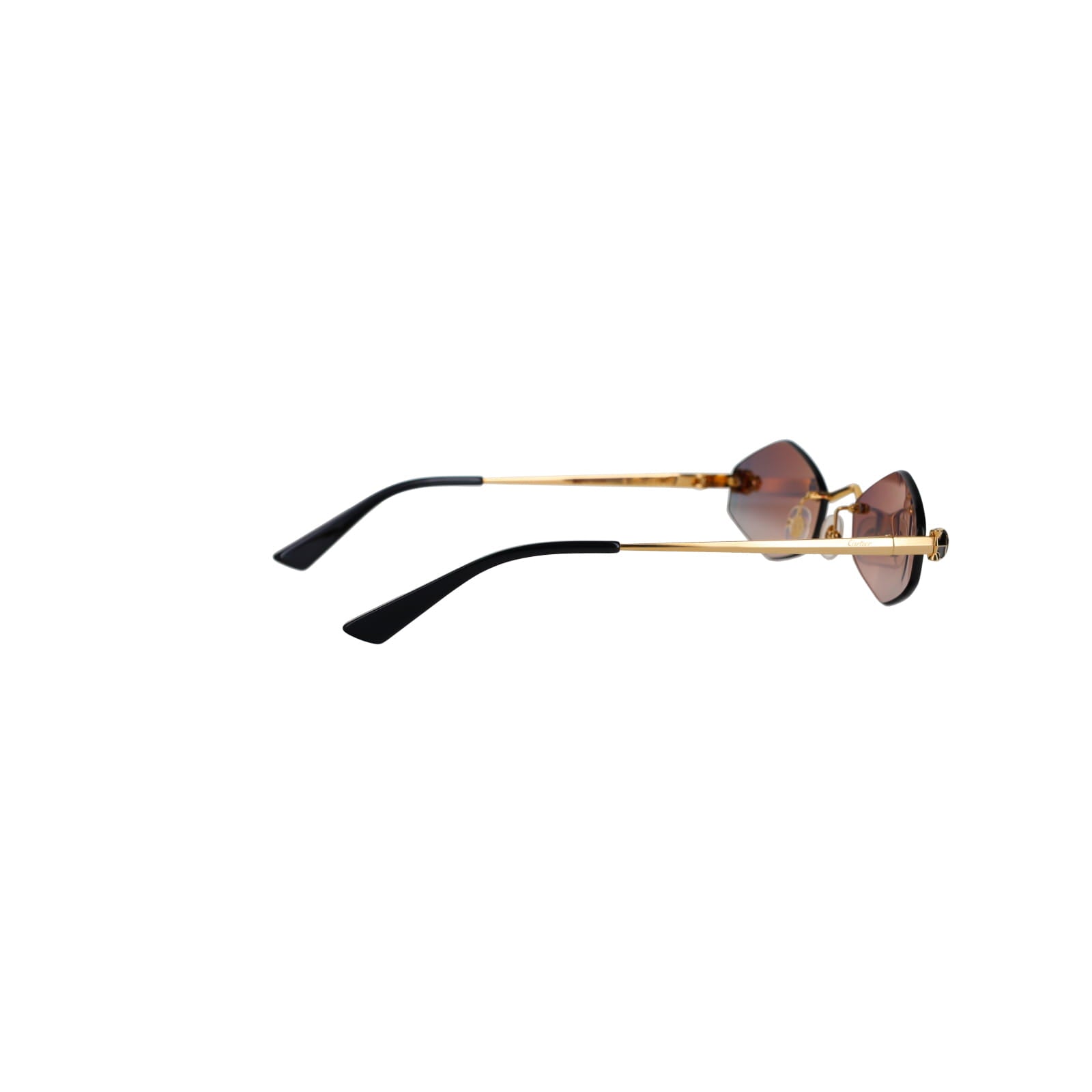 CT0433S Hexagonal Panthère Sunglasses