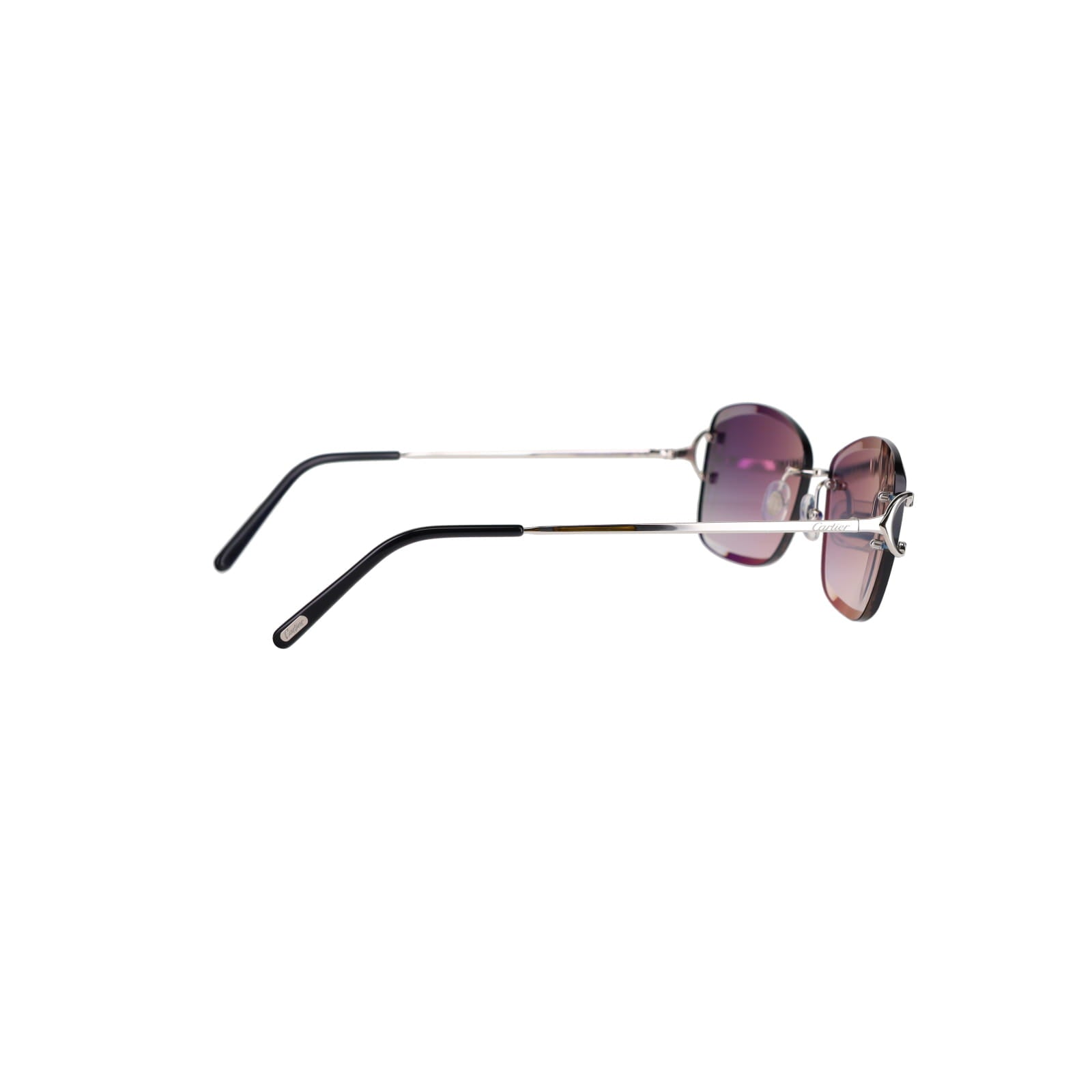 CT0010RS Signature C Sunglasses