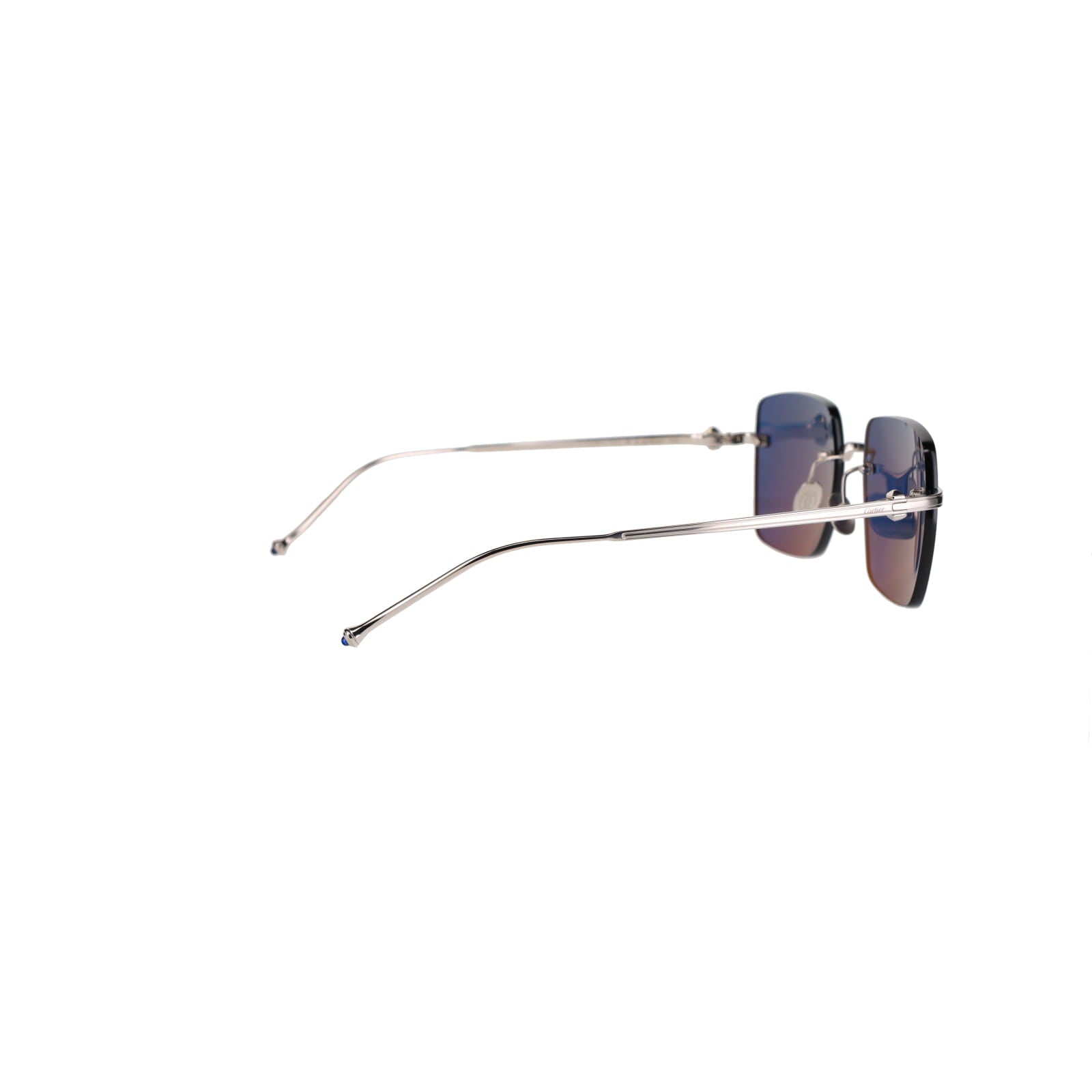 CT0403S Pasha Sunglasses