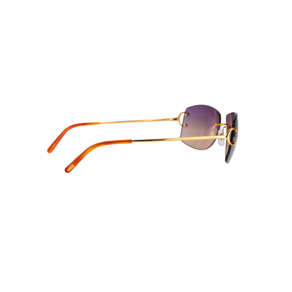 CT0008RS Signature C Sunglasses