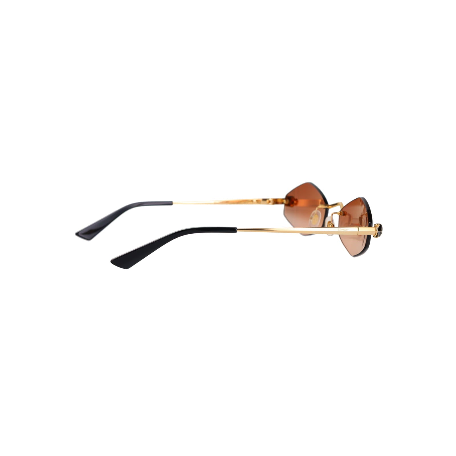 CT0433S Hexagonal Panthère Sunglasses
