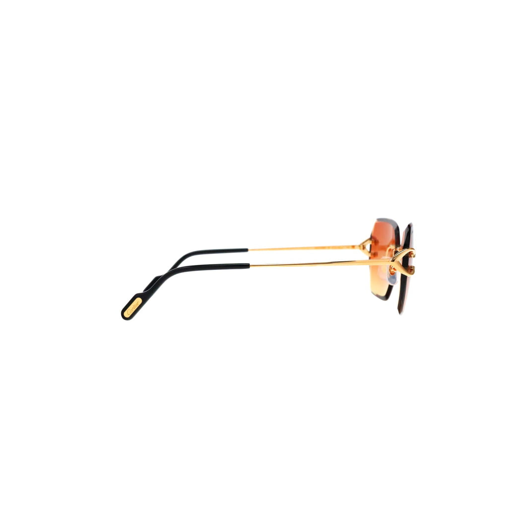 CT0466S  Signature C Sunglasses