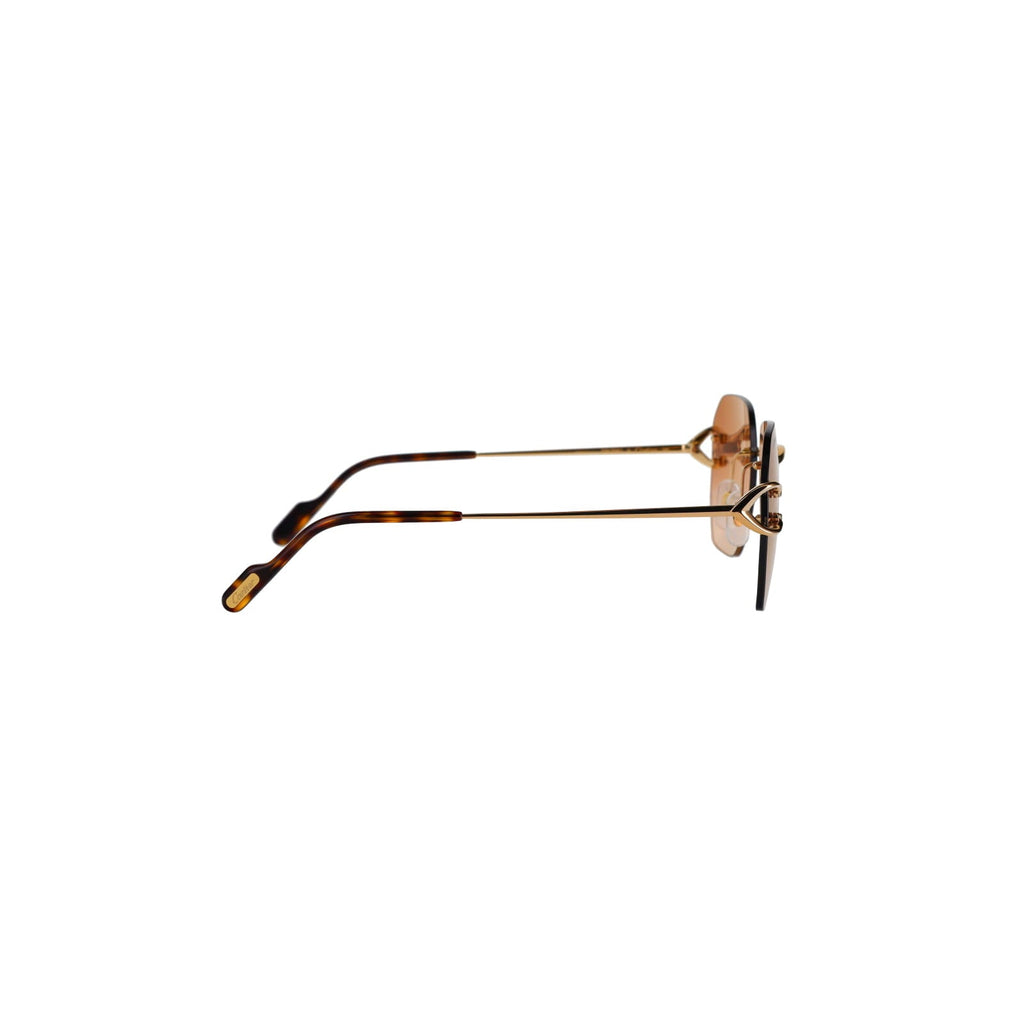 CT0394S Signature C Sunglasses